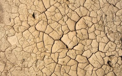 Entra en vigor el estado de emergencia por sequía en el ámbito Ter-Llobregat