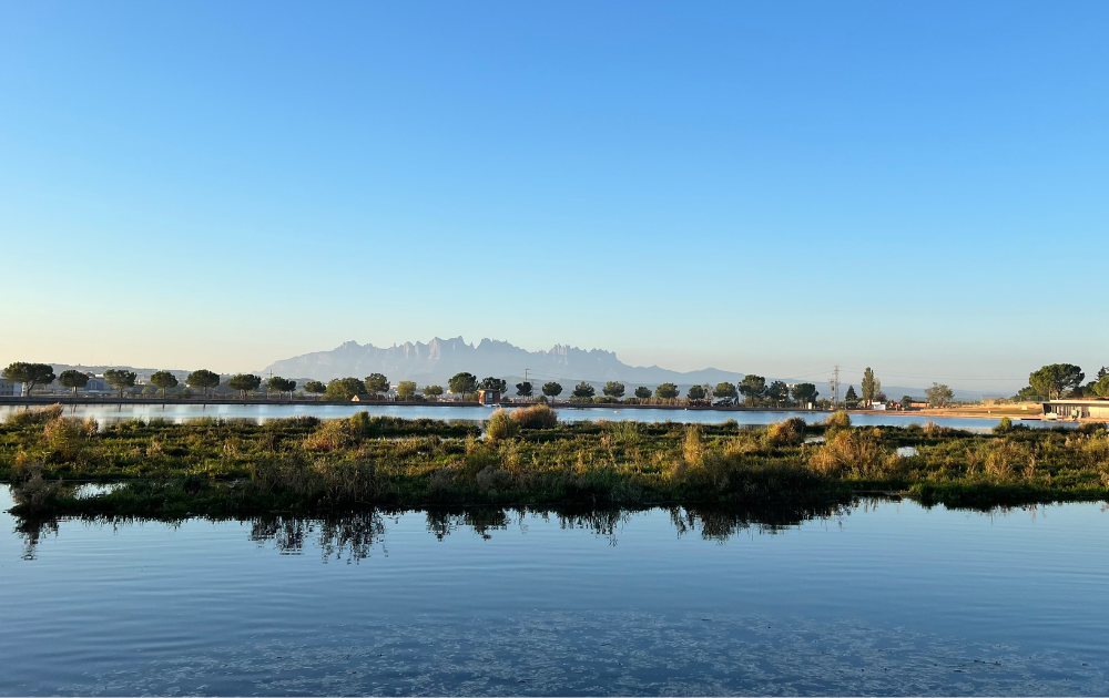 Mejorar la calidad del agua del lago de la Agulla: Medidas y retos en la lucha contra las floraciones de algas